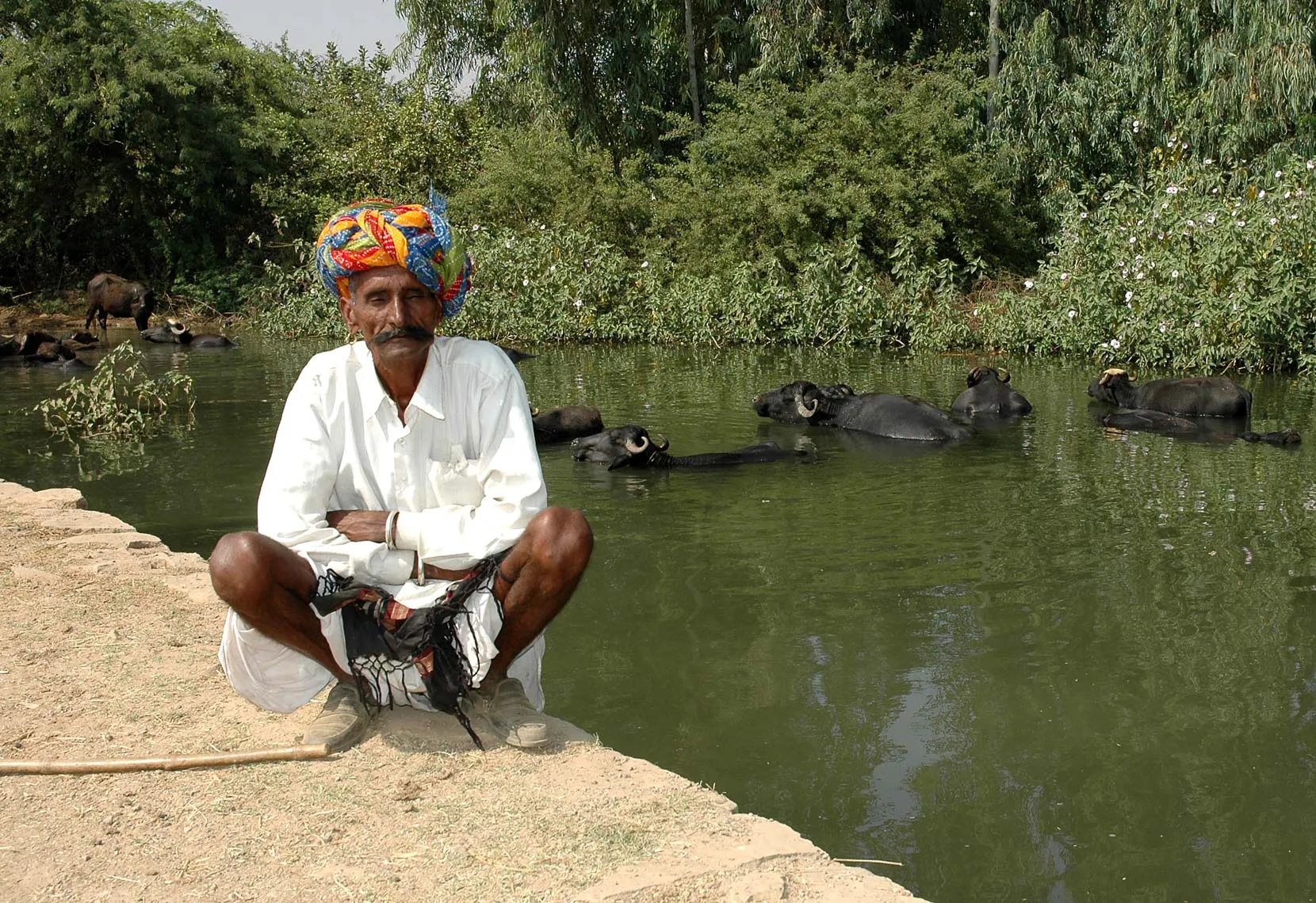 Bundi