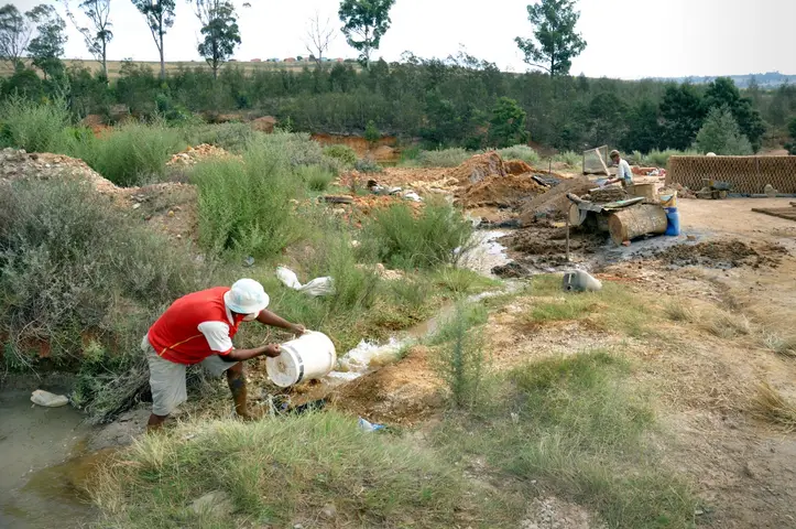Booboo, Swellendam Brickworks 2011