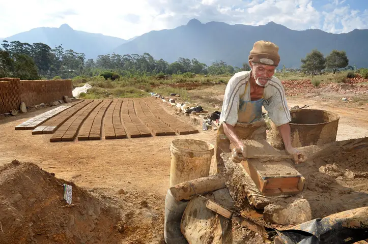 Pini, Swellendam Brickworks 2011