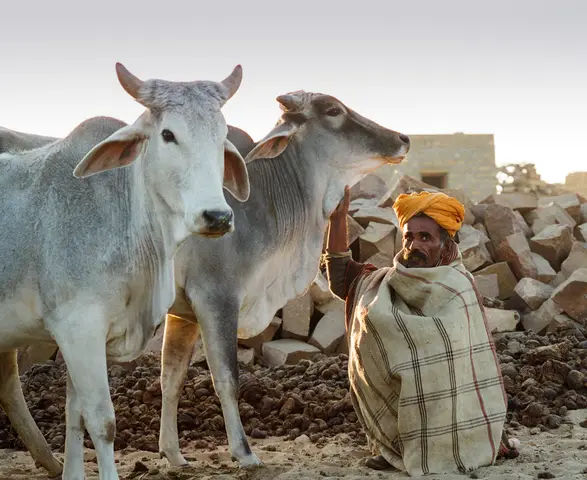 Thar Desert, Rajasthan