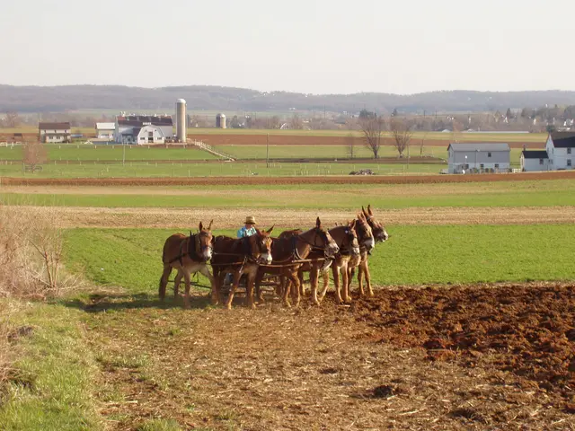 Amish Country, PA
