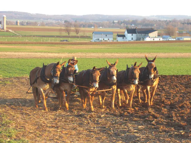 Amish Country, PA