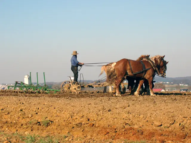 Amish Country, PA