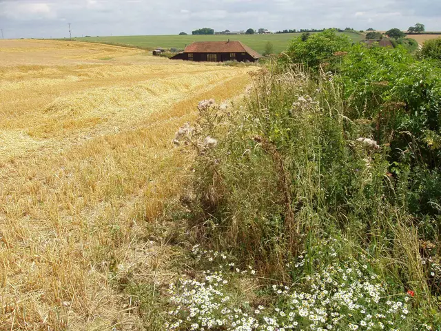 Starveall Barn