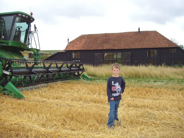 Piers, Starveall Barn