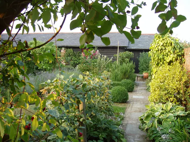 Starveall Barn