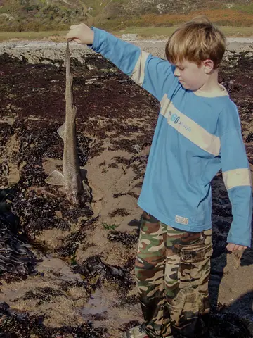 Will, catch of the day