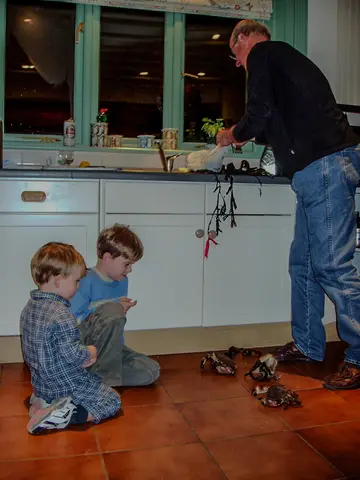 Fergus, Will & David, Starveall