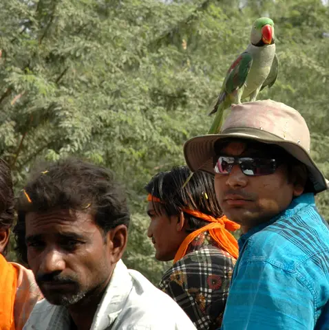 Bundi