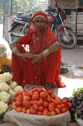 Bundi