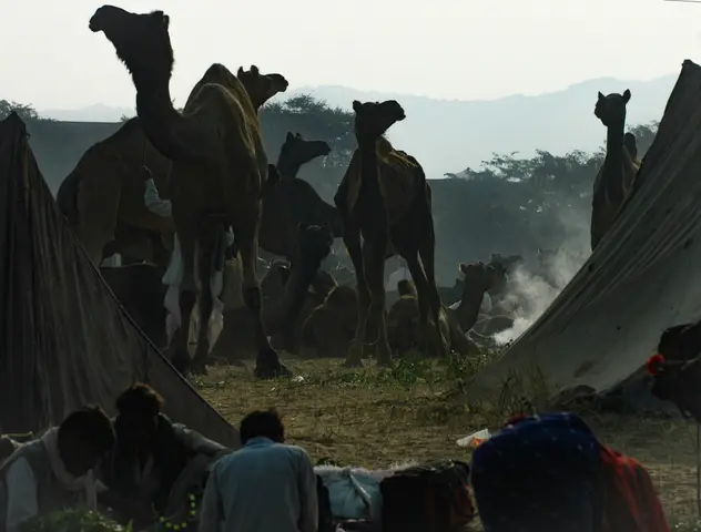 Pushkar