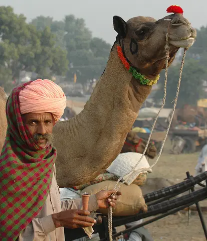 Pushkar