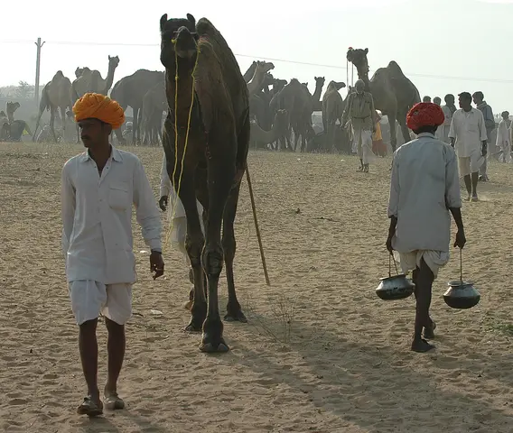 Pushkar