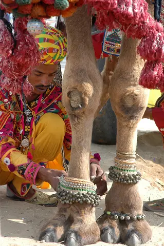 Pushkar