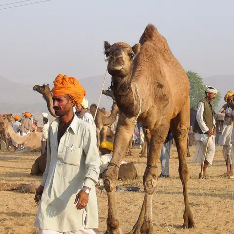 Pushkar