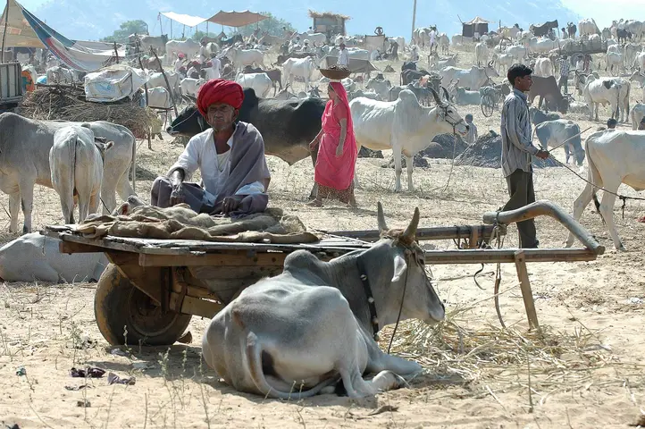 Pushkar