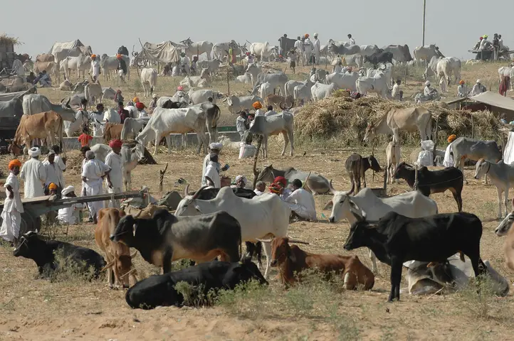 Pushkar