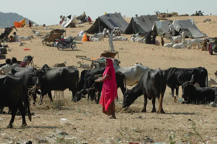 Pushkar