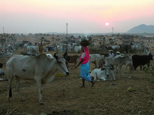 Pushkar