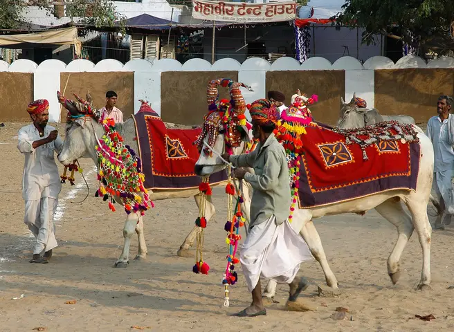 Pushkar