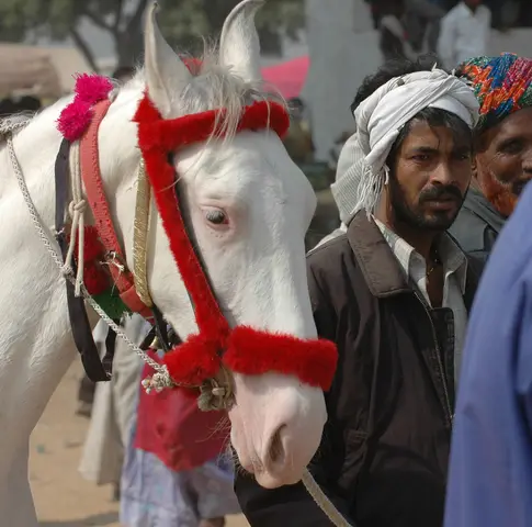 Pushkar