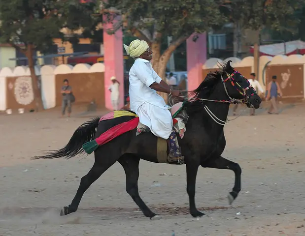 Pushkar