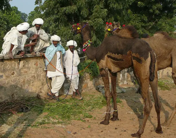 Pushkar