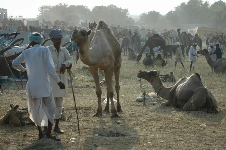 Pushkar