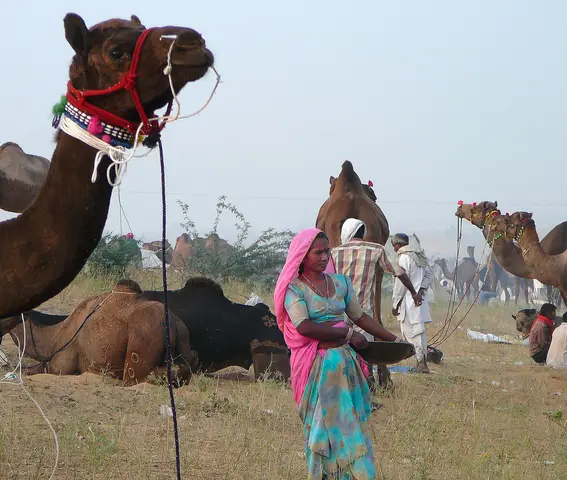 Pushkar