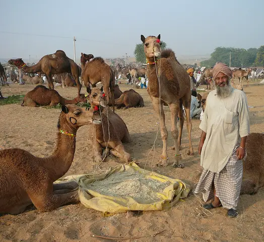 Pushkar