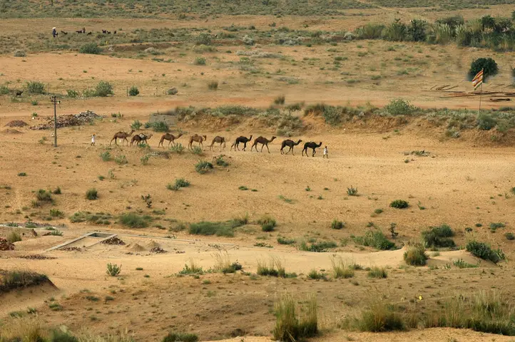Pushkar