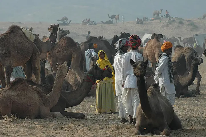 Pushkar
