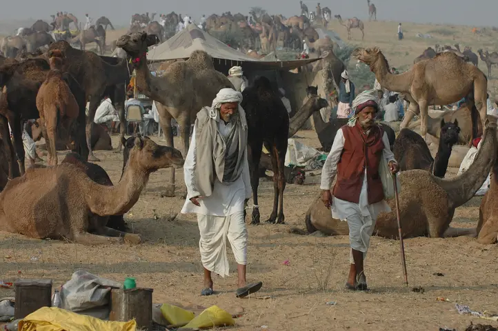 Pushkar