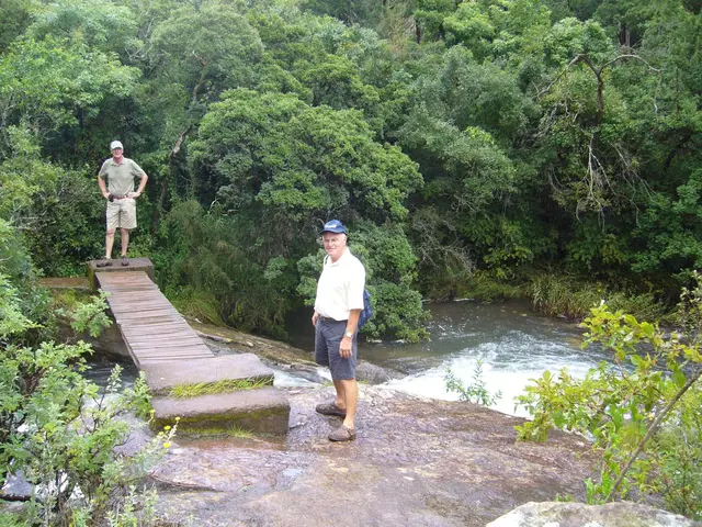 2007