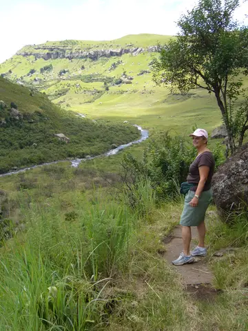 2007