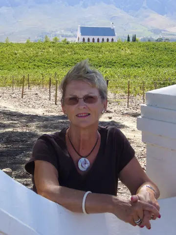 2007