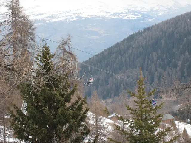 2007