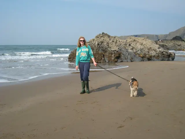 2007