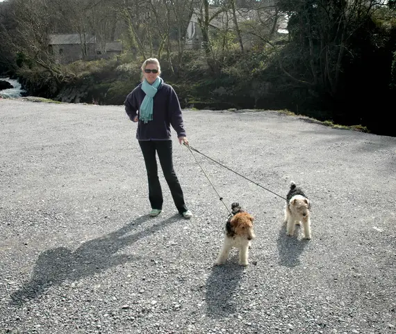 2007