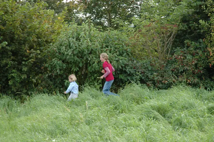 2007