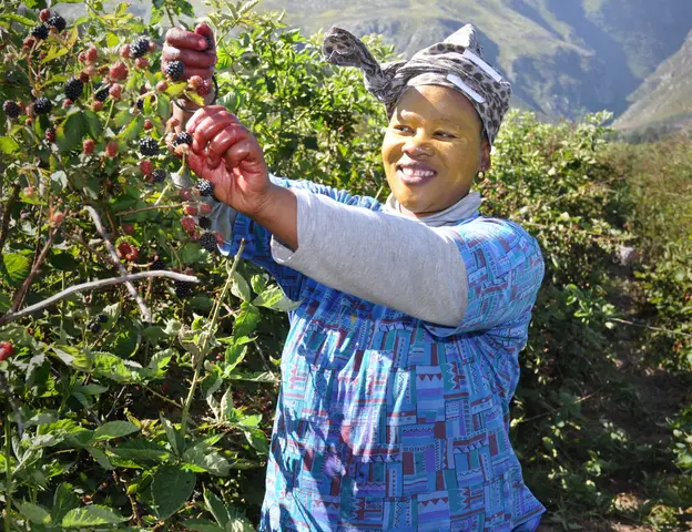 Eliza. The Berry Farm, Swellendam 2011
