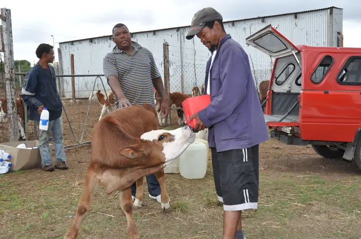 Fanie Soloman (L) & Daniel. Swellendam 2012