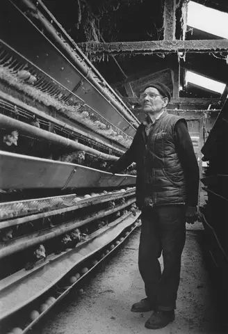 Gerald Shackletom. Warren Farm