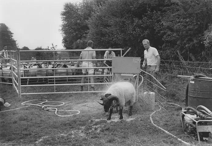 Philip Walters. Bower Farm