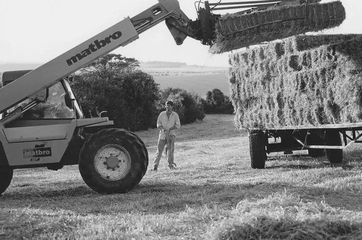 Rick Carter. Bower Farm