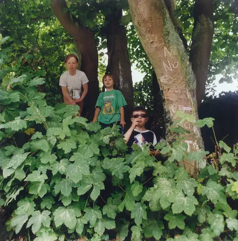 Poppy Holliday, with cousins Charlotte & Callum Taylor, Bell Lane