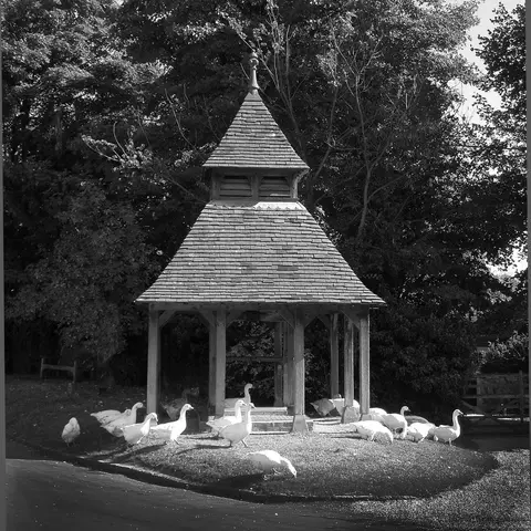 The Well.