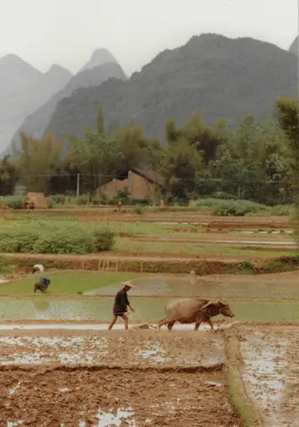 China 1989