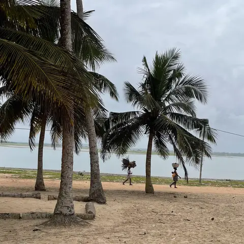 Winneba