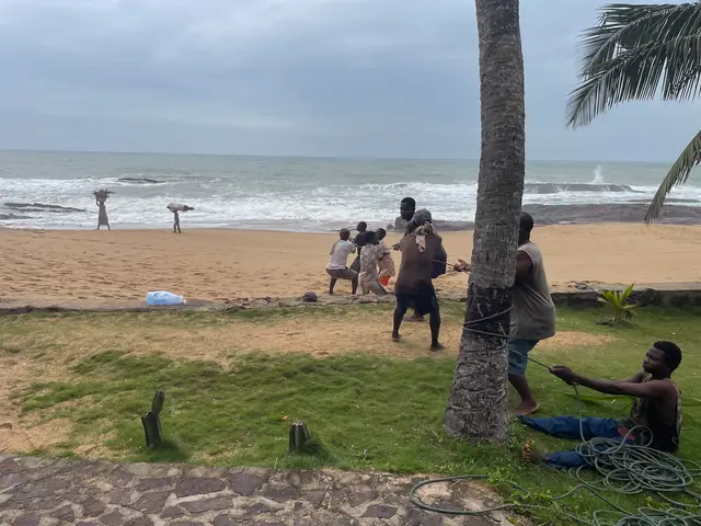 Coconut Grove, Elmina